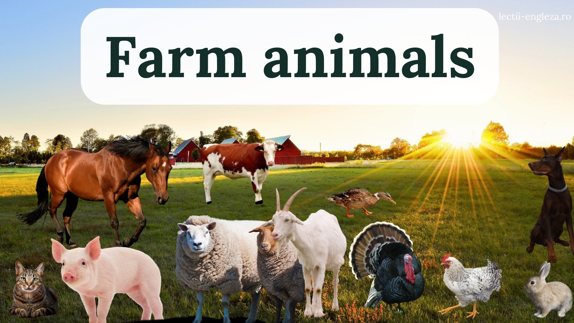 English vocabulary flashcards for young learners Farm animals